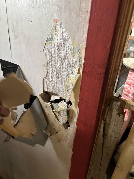 Parts of the house's walls are soft to the touch and damaged Parts of the house's walls are soft to the touch and damaged