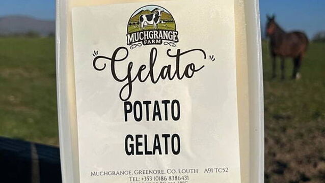 Potato ice cream proves a hit with Temple Bar tourists