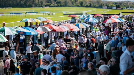 Punchestown Festival on course to surpass golden benchmark