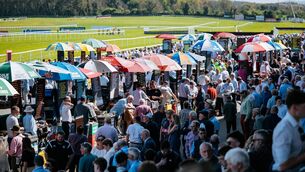 <p>Huge crowd is set to descend on Punchestown for this year's five day festival</p>