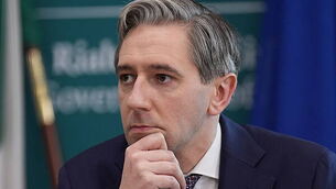 Thousands participate in Palestinian solidarity march in Dublin