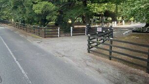 <p>The woman had parked near the gate of Barretstown Cemetery</p>