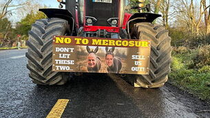 Michael Flatley wins injunction blocking firm from cancelling Lord Of The Dance