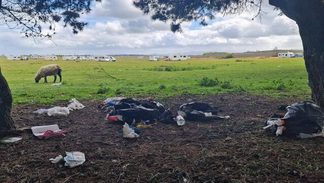 <p>Rubbish dumped at the edge of the Cill Dara golf course</p>