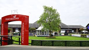 <p>Punchestown is all ready for the opening day of the 2026 Festival Photo: Michael Chester </p>
