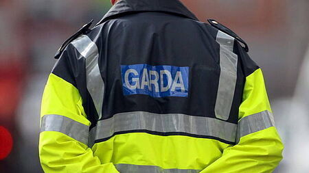Man (27) convicted over 'vicious' dog attack on garda during Dublin drug operation