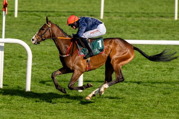 John Gleeson on Abbeyglen wins The Goffs Defender Bumper for Martin Brassil.