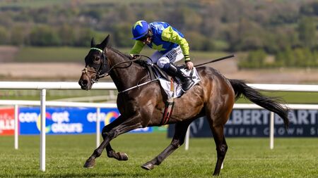 A great day for Kildare trainers on day one of Peerless Punchestown