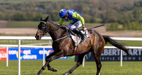 A great day for Kildare trainers on day one of Peerless Punchestown