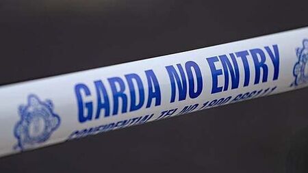Man (80s) dies after being hit by car in Longford