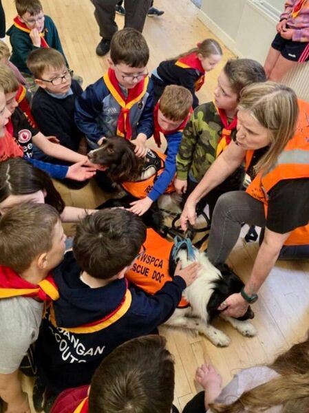 Scouts meet some of the rescue dogs