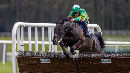 Flying start to Punchestown by Kildare trainers