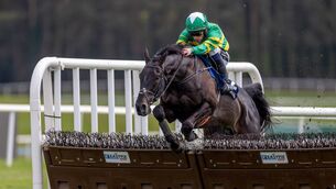 Simon Torrens wins the The Albert Bartlett Triple Crown Series Final Handicap Hurdle om the Jessica Harrington trainer Powerful on the first day of the Punchestown Festival Photo: ©INPHO/Morgan Treacy