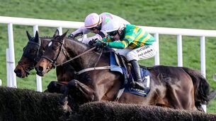 <p>Gaelic Warrior and Fact To File are set to resume their rivalry at Punchestown today Photo: ©INPHO/Caroline Norris </p>