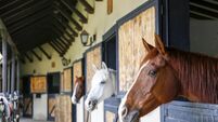 Man denies sexual assault at Kildare stables 