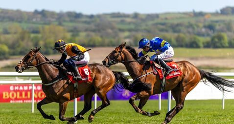 O'Sullivan and Harrington are popular winners at Punchestown