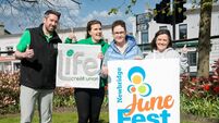 Crochet Olympics comes to popular Kildare festival