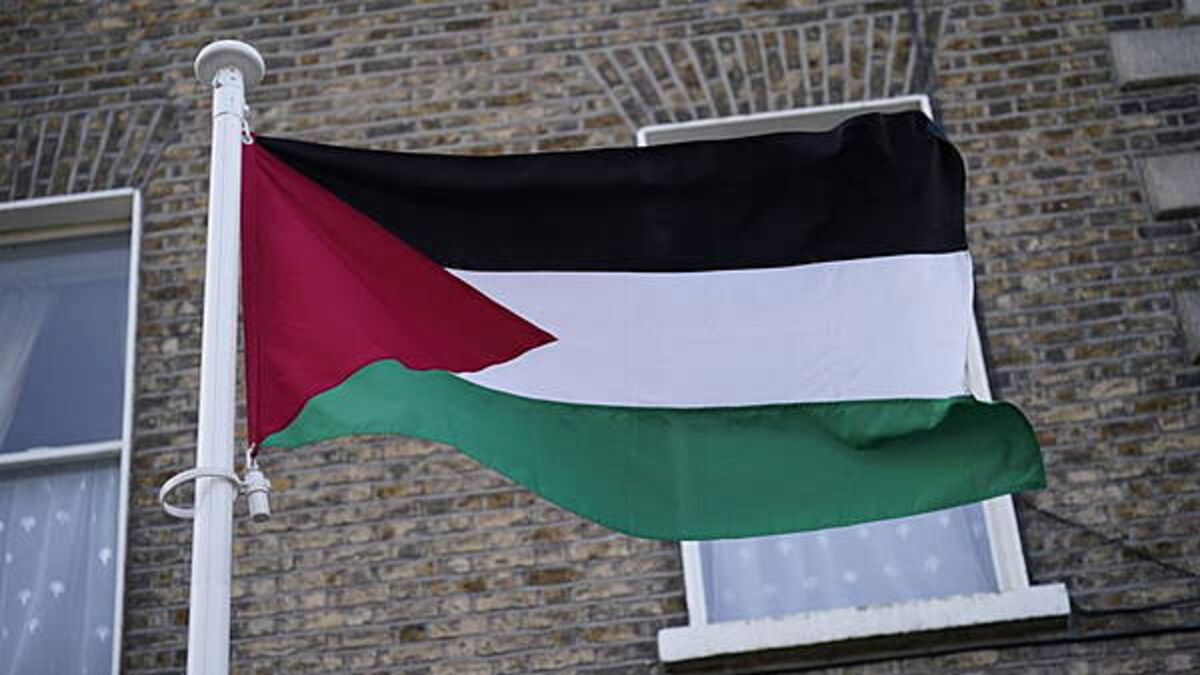 Seven Irish citizens ‘kidnapped’ after Gaza flotilla intercepted, organisers say
