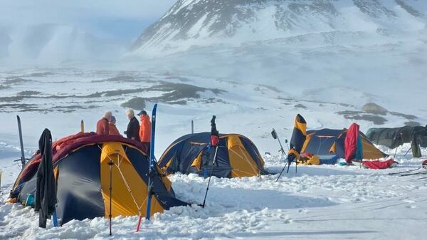 Camping in the all-day night