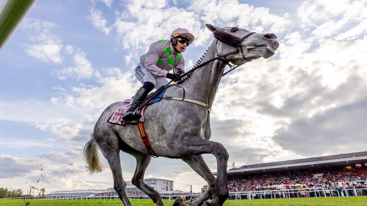 Lossiemouth delivers Champion hurdle gold in breathtaking Punchestown display