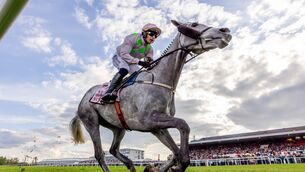 <p>Paul Townend on Lossiemouth wins The Boodles Champion Hurdle (Grade 1)Photos: INPHO/Morgan Treacy</p>