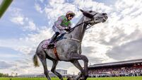 Lossiemouth delivers Champion hurdle gold in breathtaking Punchestown display