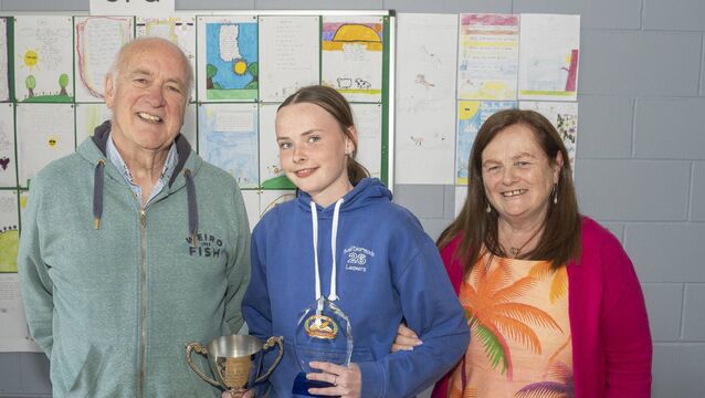 Young Kildare poets embrace school competition