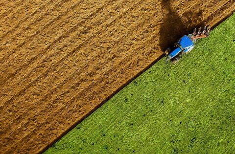 Kildare farmland most expensive in Ireland