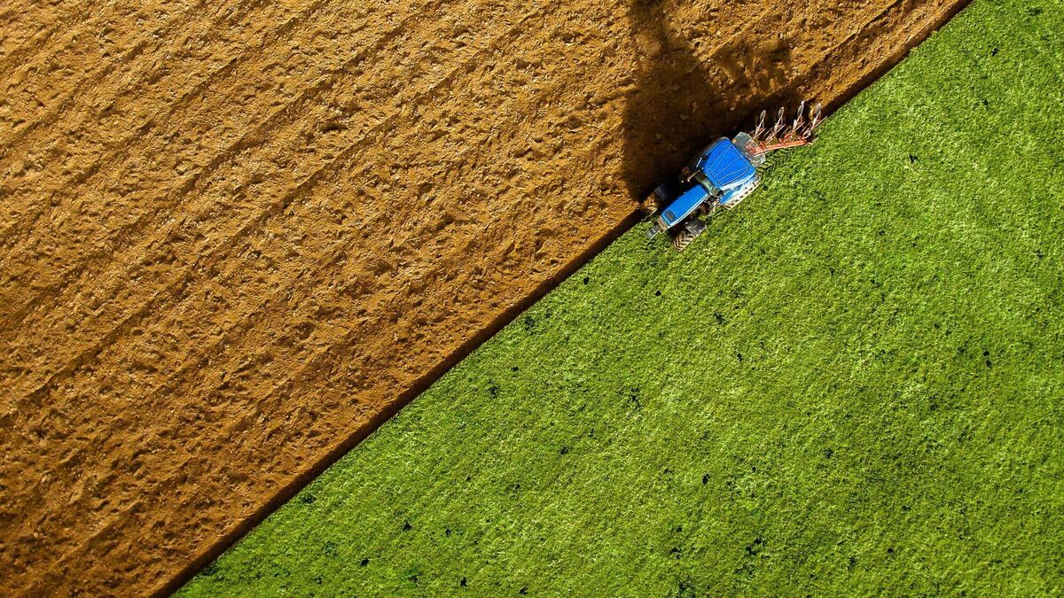 Kildare farmland most expensive in Ireland