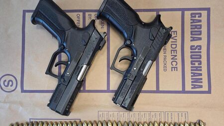 Guns seized following garda operation at Kildare canal