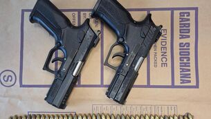 <p>The seized guns</p>