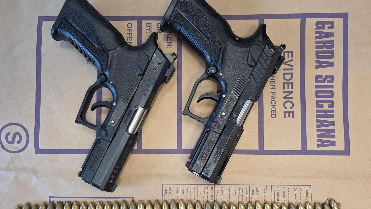 Guns seized following garda operation at Kildare canal