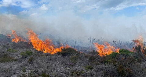 Dublin fire brigade battling gorse fire on Killiney Hill Dublin fire brigade battling gorse fire on Killiney Hill