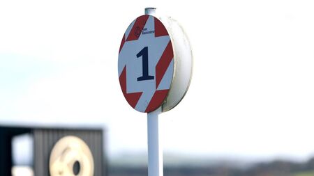 Naas Racecourse: Preview and Tips for Saturday’s Eight Race Meeting