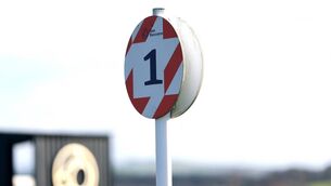 <p>A view of the winning post at Naas Racecourse Photo: ©INPHO/Bryan Keane</p>