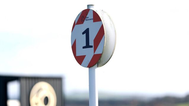 Naas Racecourse: Preview and Tips for Saturday’s Eight Race Meeting 