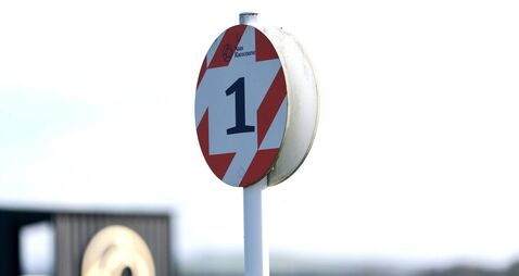 Naas Racecourse: Preview and Tips for Saturday’s Eight Race Meeting 