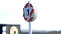 Naas Racecourse: Preview and Tips for Saturday’s Eight Race Meeting 