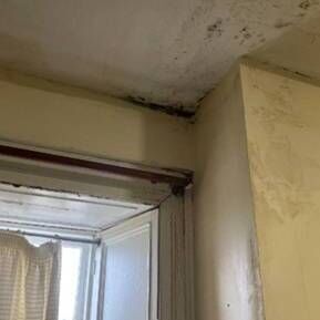 Mould in De Burgh House Mould in De Burgh House