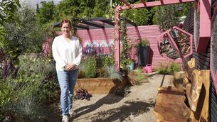 <p>'Bee Happy' Wildlife Garden, by Debbie Brophy, sponsored by 'Super Garden'. Bord Bia Bloom Show Garden</p> <p>'Bee Happy' Wildlife Garden, by Debbie Brophy, sponsored by 'Super Garden'. Bord Bia Bloom Show Garden</p>