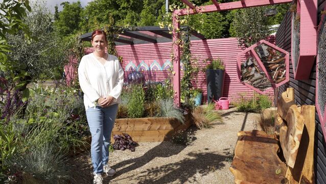Kildare exhibitors get ready for this year’s Bloom Festival 