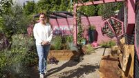 Kildare exhibitors get ready for this year’s Bloom Festival 