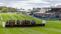 Punchestown Racecourse: Preview and Tips for Wednesday’s Eight-Race Meeting 