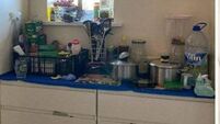 Kildare refugee facilities undergo inspections
