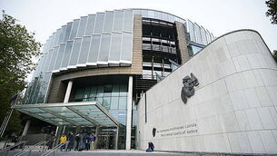 Judge orders ‘destruction’ of XL Bully dogs owned by widow of steakhouse murder victim