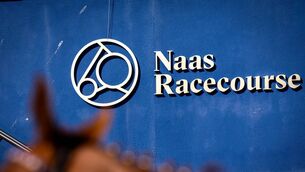 <p>There is racing at Naas Racecourse this Sunday Photo: ©INPHO/Morgan Tracey </p>