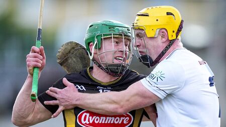 Kildare relegated as Cats show their claws in second half comeback