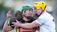 Kildare relegated as Cats show their claws in second half comeback