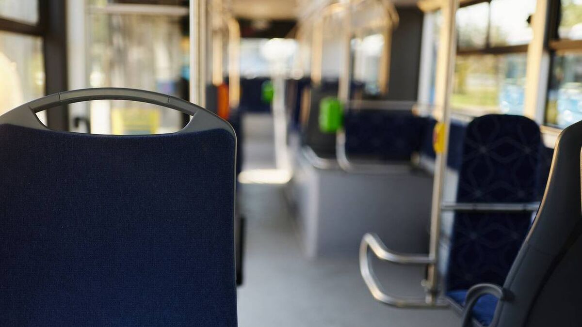 Further calls for Naas orbital bus
