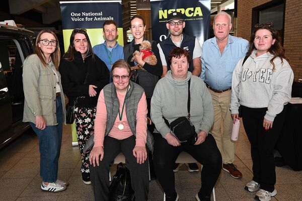 Members of Reach Ability and NSPCA at the Disability Show 